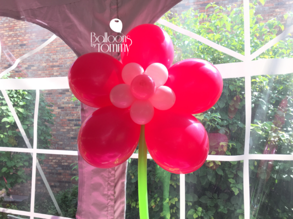 Strawberry Shortcake Baptism - Balloons by Tommy