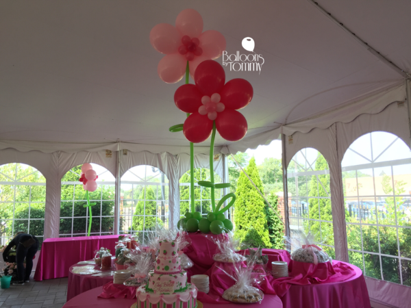 Strawberry Shortcake Baptism - Balloons by Tommy