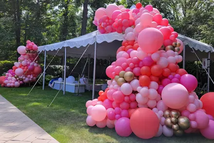 Balloons by Tommy - Organic Balloon Decor